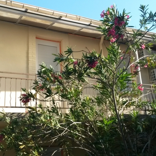  SOLIMMO : Apartment | ALLEGRE-LES-FUMADES (30500) | 70 m2 | 585 € 
