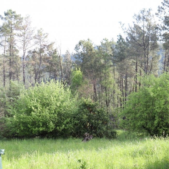  SOLIMMO : House | BORDEZAC (30160) | 110 m2 | 68 000 € 