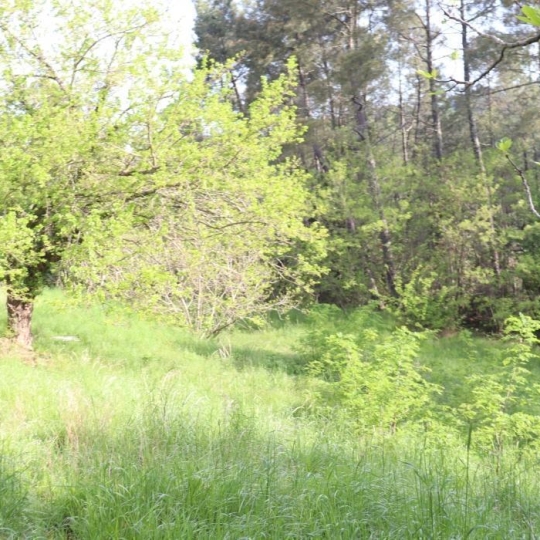 SOLIMMO : House | BORDEZAC (30160) | 110 m2 | 68 000 € 