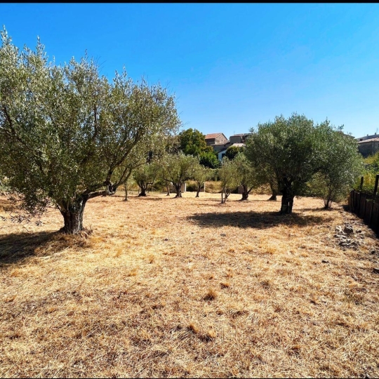 SOLIMMO : Ground | LES MAGES (30960) | 990.00m2 | 81 400 € 