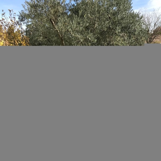  SOLIMMO : Maison / Villa | LES MAGES (30960) | 130 m2 | 253 000 € 