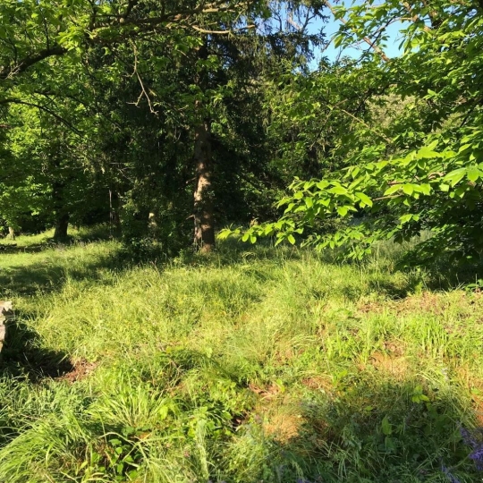  SOLIMMO : Ground | SAINT-FLORENT-SUR-AUZONNET (30960) | 0 m2 | 47 000 € 