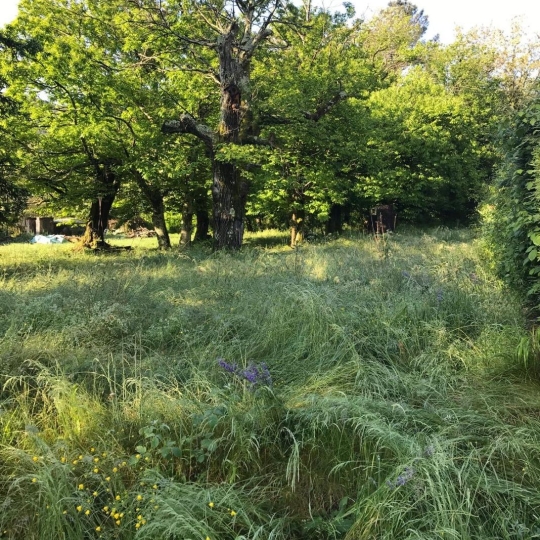  SOLIMMO : Ground | SAINT-FLORENT-SUR-AUZONNET (30960) | 0 m2 | 47 000 € 