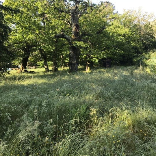  SOLIMMO : Ground | SAINT-FLORENT-SUR-AUZONNET (30960) | 0 m2 | 47 000 € 