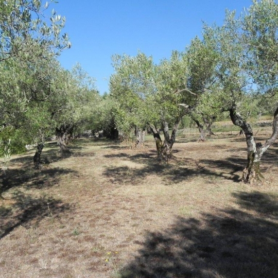  SOLIMMO : Maison / Villa | SAINT-JULIEN-DE-CASSAGNAS (30500) | 200 m2 | 399 000 € 