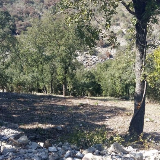  SOLIMMO : Ground | ROUSSON (30340) | 0 m2 | 66 000 € 