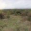  SOLIMMO : Terrain | GOUDARGUES (30630) | 0 m2 | 252 000 € 