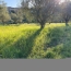  SOLIMMO : Ground | LES MAGES (30960) | 990 m2 | 81 400 € 