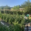  SOLIMMO : Maison / Villa | SAINT-FLORENT-SUR-AUZONNET (30960) | 97 m2 | 299 000 € 
