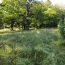  SOLIMMO : Ground | SAINT-FLORENT-SUR-AUZONNET (30960) | 0 m2 | 47 000 € 