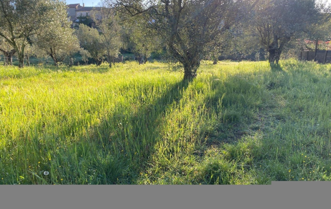 SOLIMMO : Ground | LES MAGES (30960) | 990 m2 | 81 400 € 