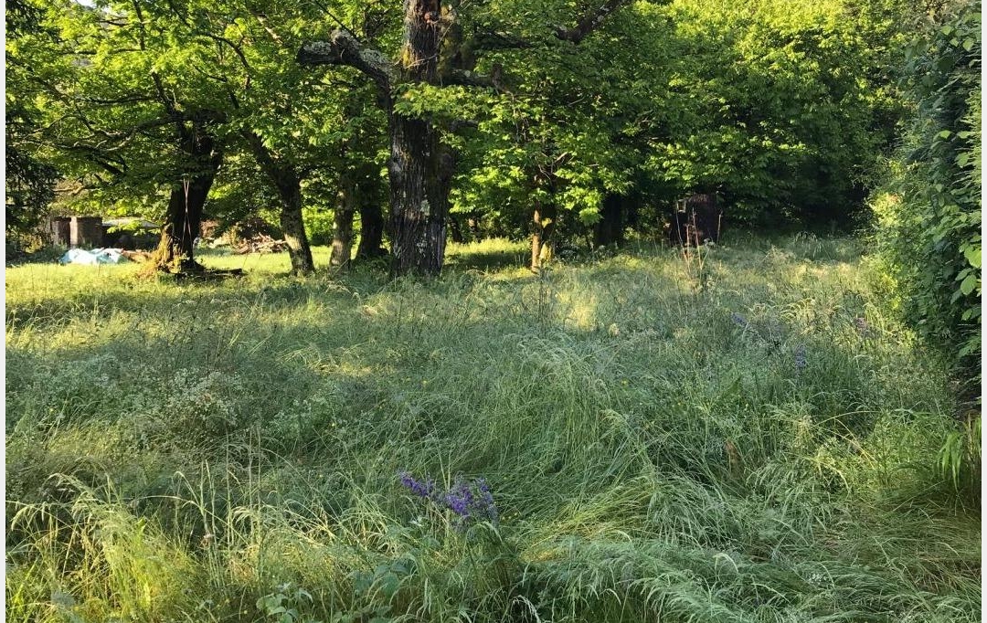 SOLIMMO : Ground | SAINT-FLORENT-SUR-AUZONNET (30960) | 0 m2 | 47 000 € 