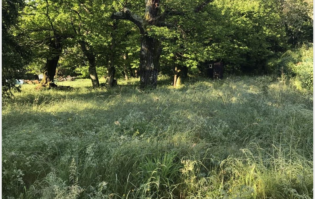 SOLIMMO : Ground | SAINT-FLORENT-SUR-AUZONNET (30960) | 0 m2 | 47 000 € 