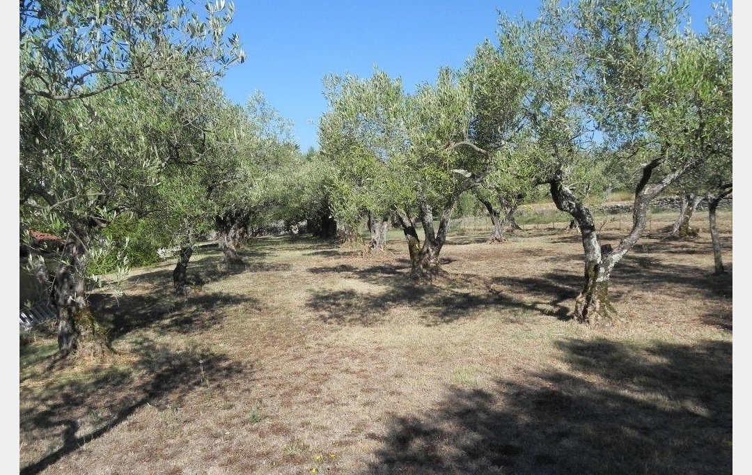 SOLIMMO : Maison / Villa | SAINT-JULIEN-DE-CASSAGNAS (30500) | 200 m2 | 399 000 € 