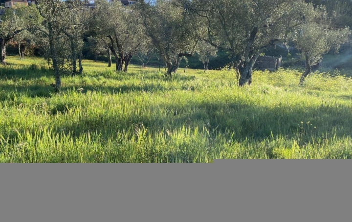  SOLIMMO Terrain | LES MAGES (30960) | 990 m2 | 81 400 € 