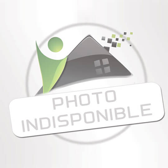  SOLIMMO : Building | BESSEGES (30160) | 650 m2 | 215 000 € 